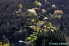 cevennes, printemps 2026,